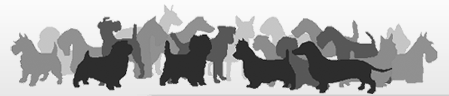 Rocky Mountain Earthdog Club
